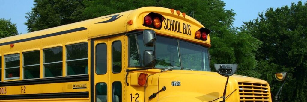 school bus, bus, vehicle-2645085.jpg